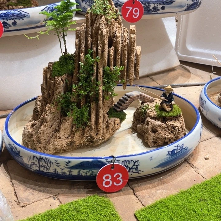 当前无花朵，栽培后可花朵蓝***?