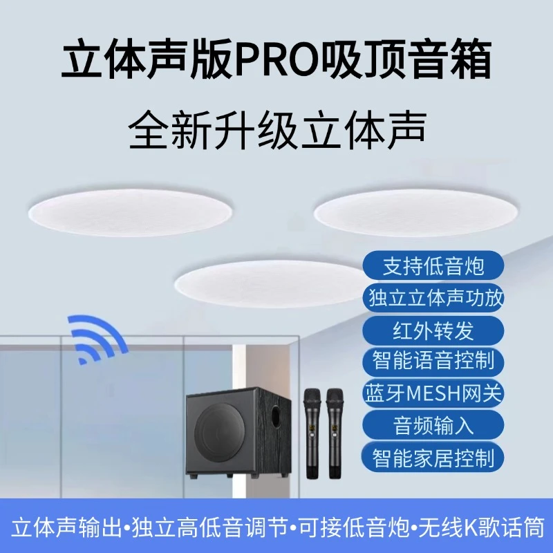 立体声智能吸顶音箱内置pro改装家庭背景音乐系统功放家居