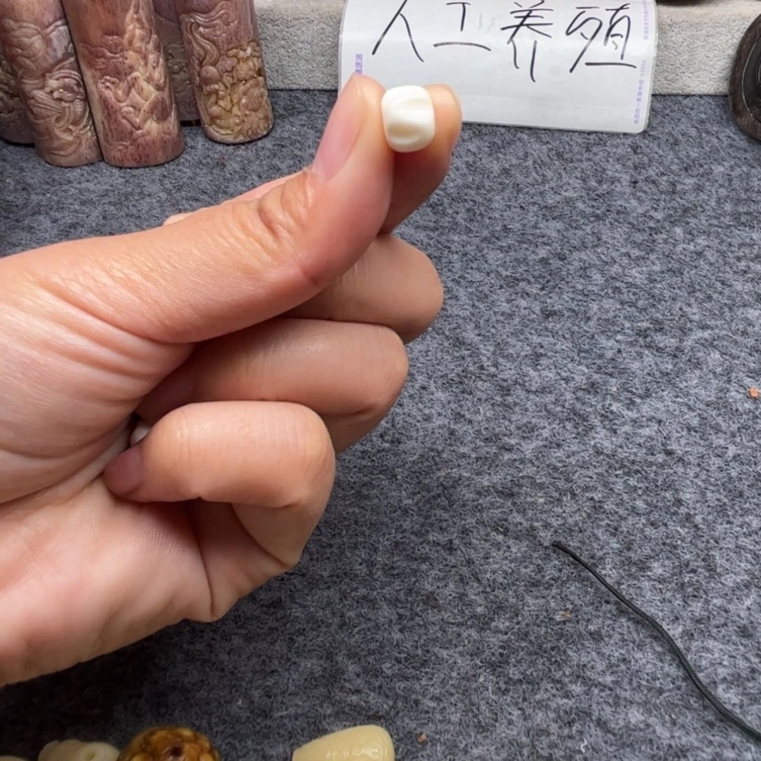 鹿骨其他人工养殖驼骨14