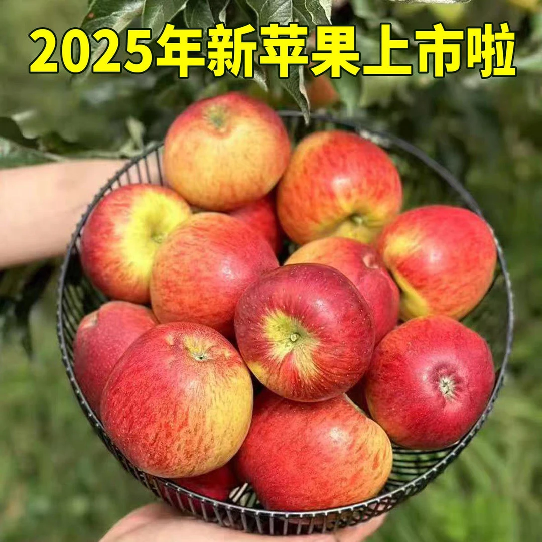 云南高原丑苹果新鲜脆甜多汁头茬当季应季水果现摘现发孕妇水果