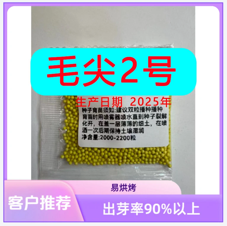 毛尖二号/抗病强/好管理/产量高/有效叶片多/产量王