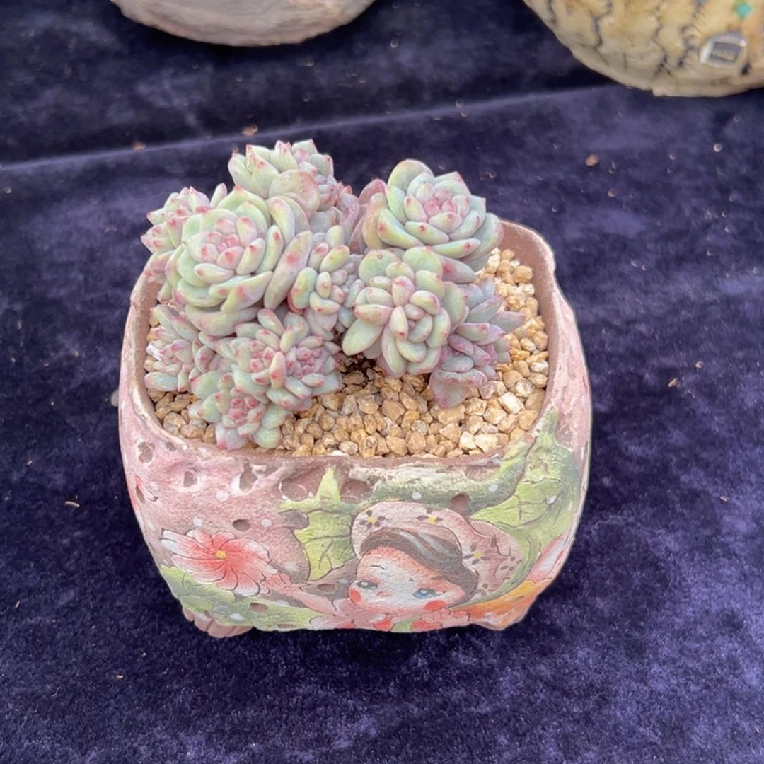 新年快乐 新年快乐