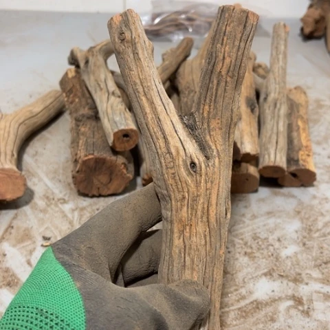 大果紫檀（缅甸花梨）夏*