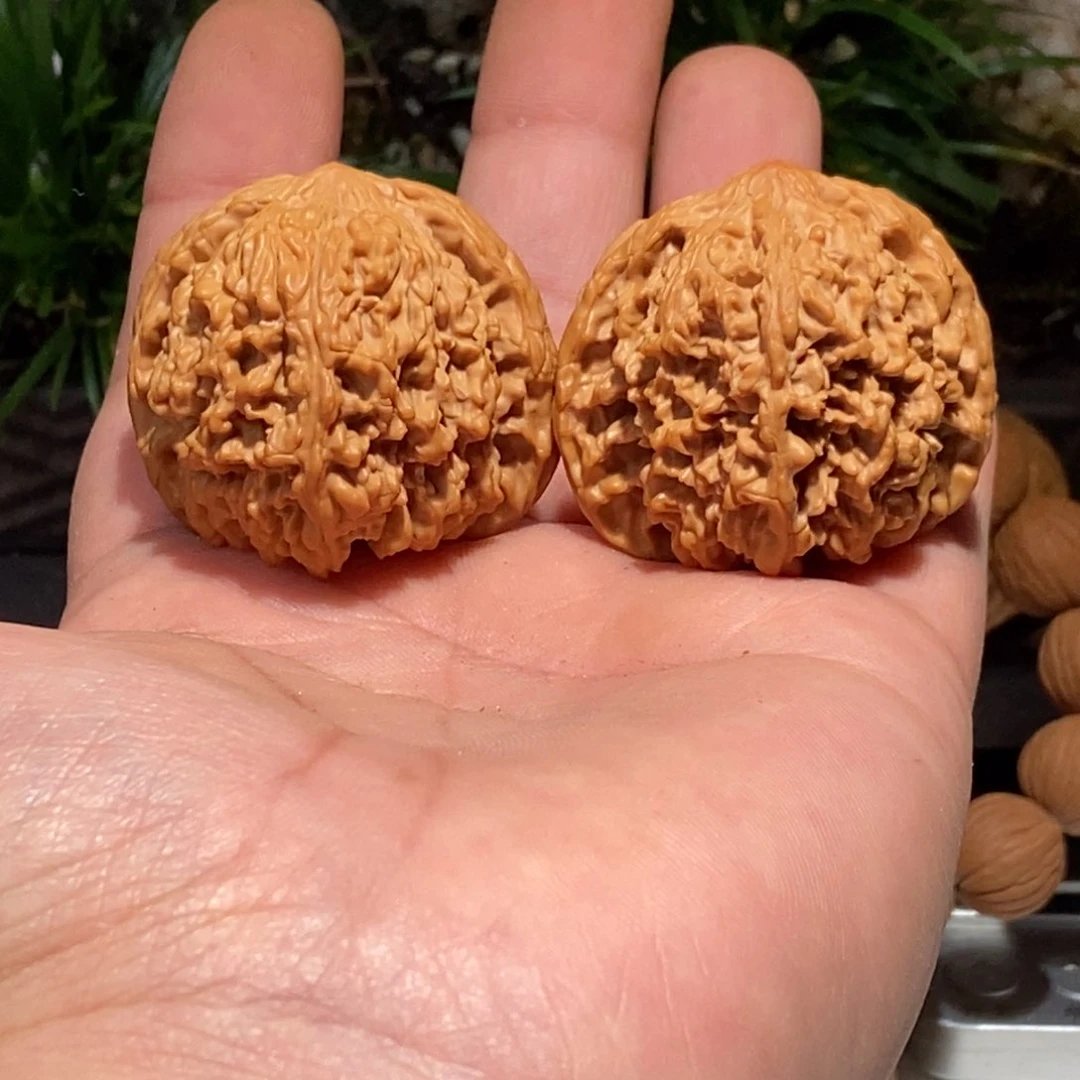 文玩核桃把件满天星41