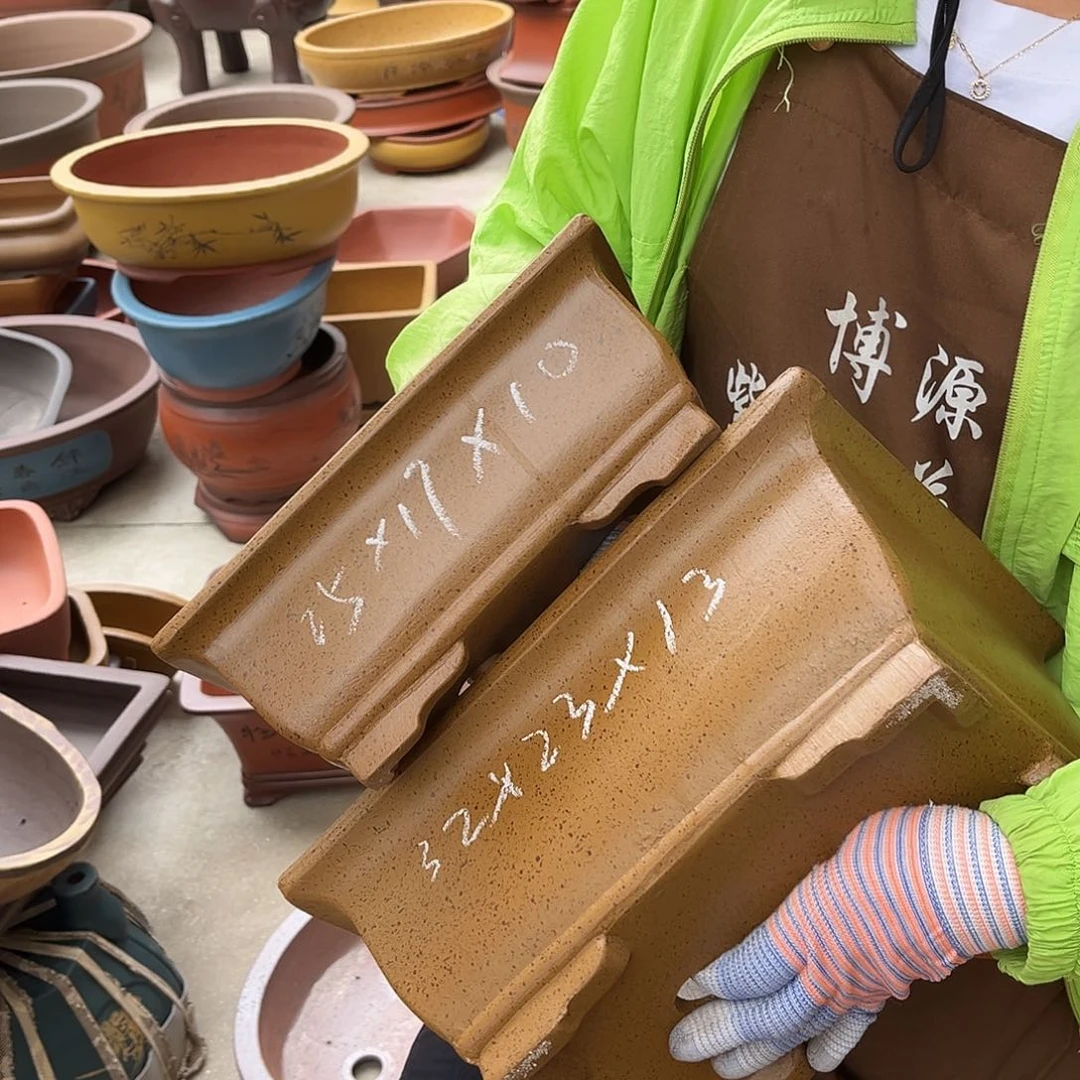 紫砂花盆盆景艺术