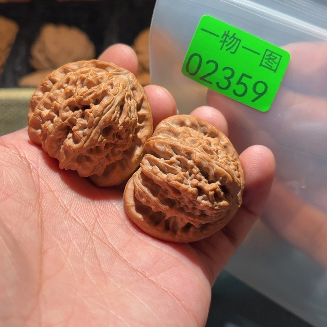 文玩核桃把件白狮子