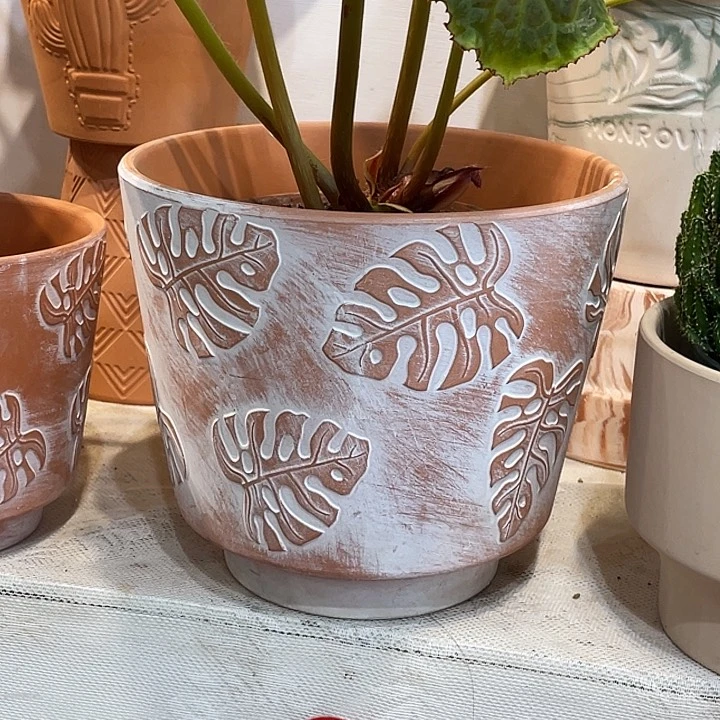 19.5×17花盆一个……