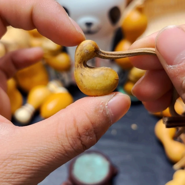 溪*888888888888888888