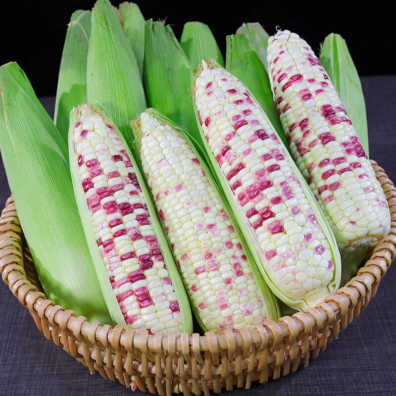 【顺丰/广西发货】新鲜花糯玉米新鲜采摘带皮粗粮2斤/3斤/5斤/9斤