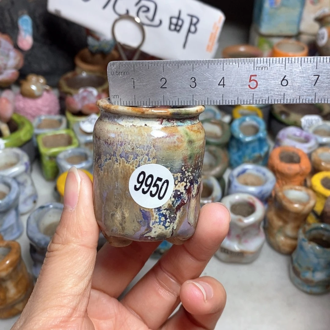 拍5送一个小礼物