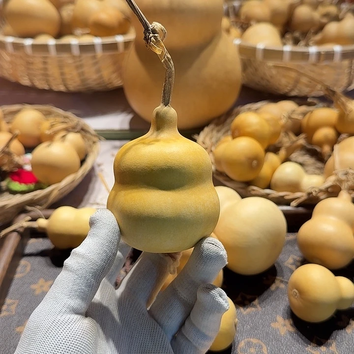 @***昌哈哈哈哈哈