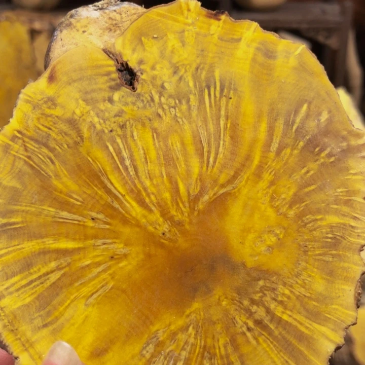 木C****X木料木料木料木料