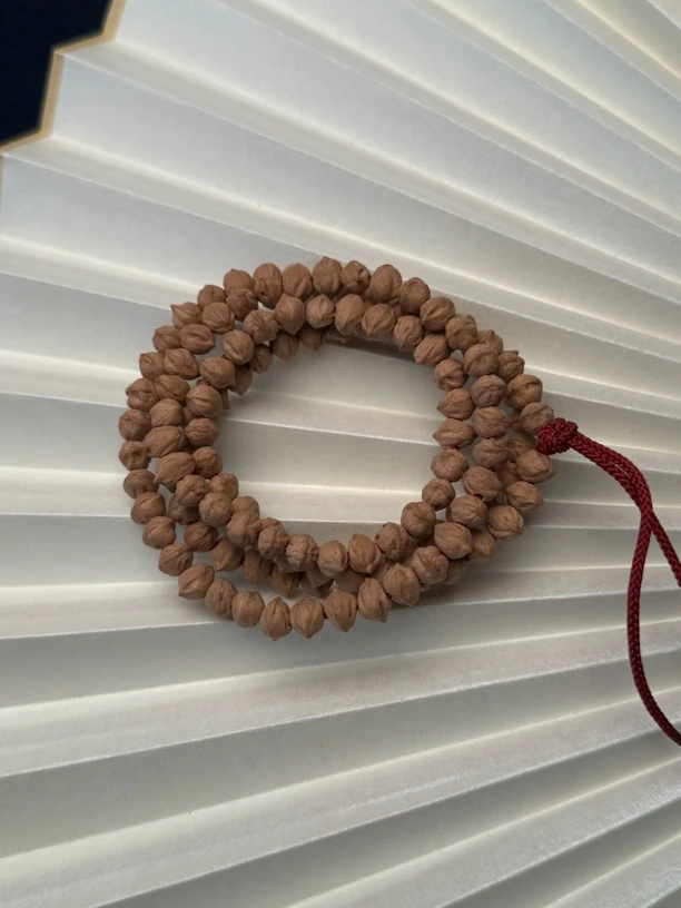 柏香籽果冻皮横打精品