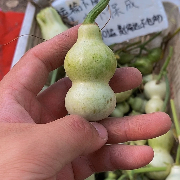 旋***姐哈哈哈哈哈哈哈哈哈哈