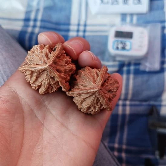 用***5盘山文玩核桃三棱子