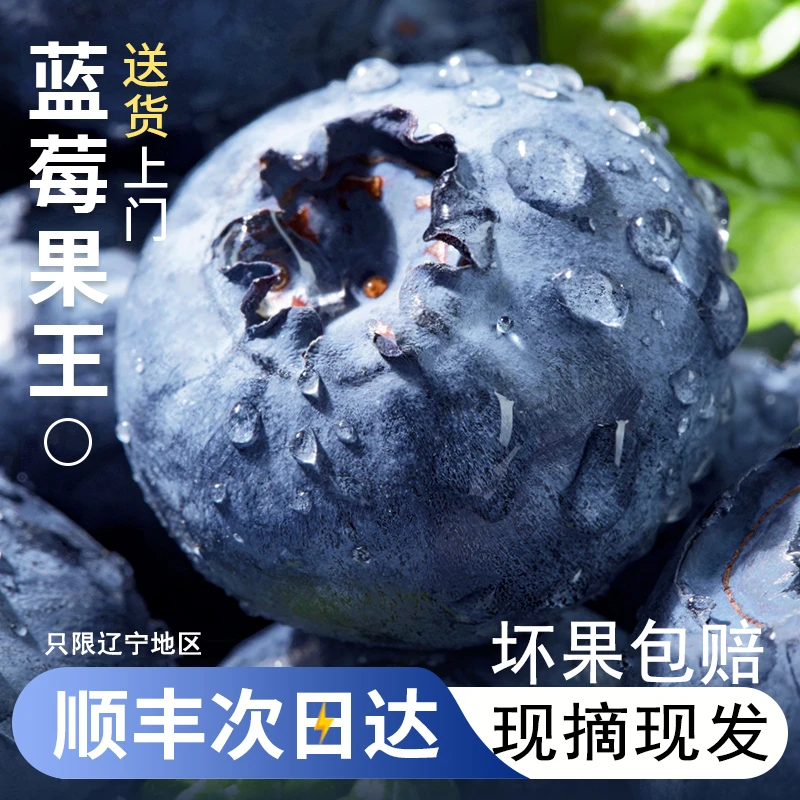 【两箱装】L25有机花香蓝莓嘎嘎甜花青素满满现摘当季鲜果顺丰包邮