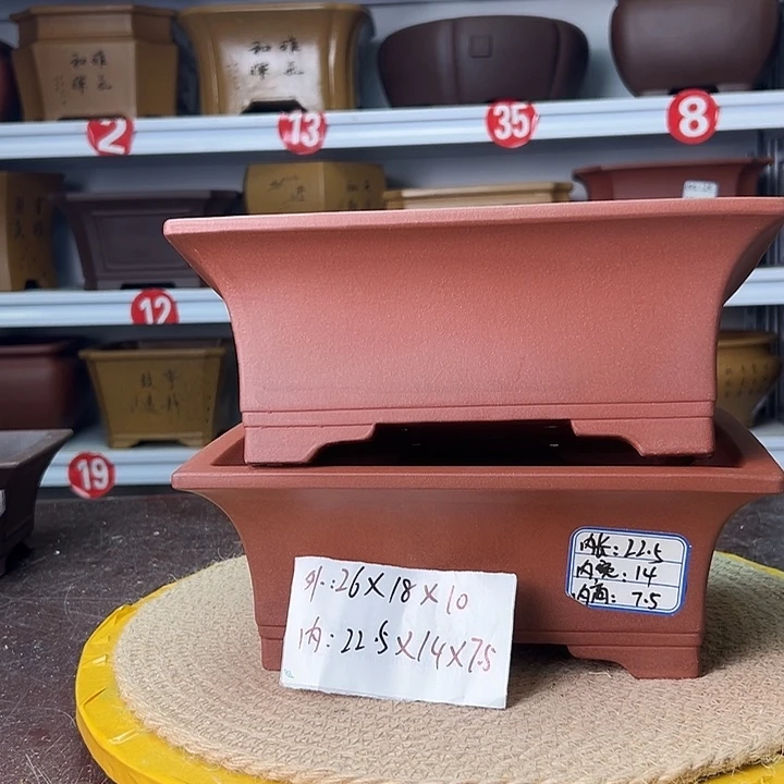 花盆紫砂蛇年大吉