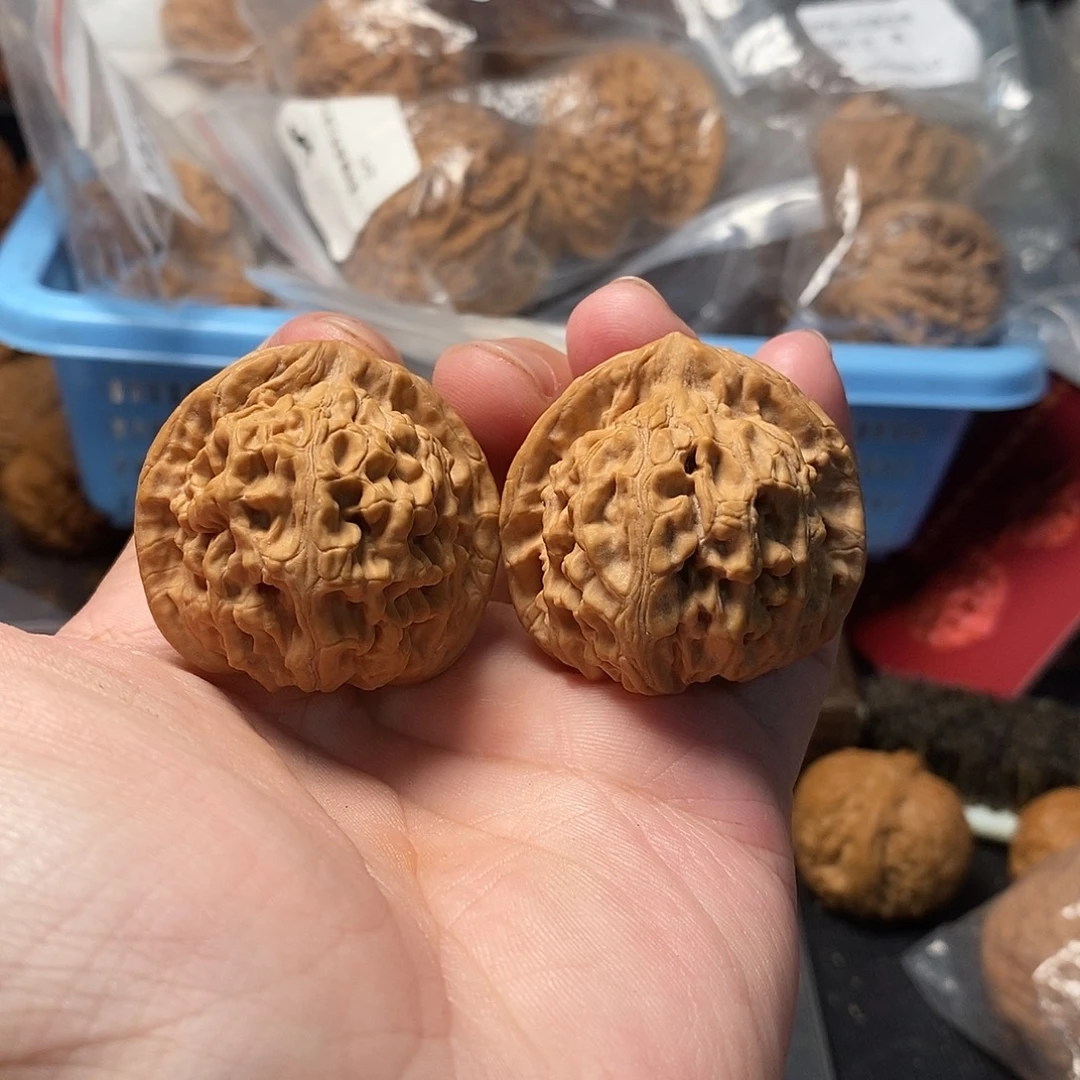 1文玩核桃天地38-486