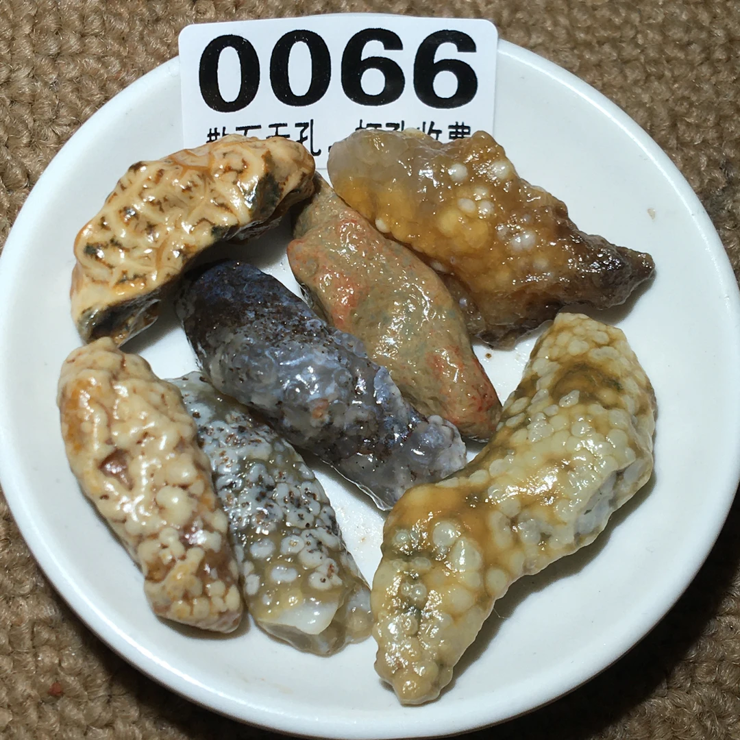 0066-0075筋脉石阿拉善原石戈壁石diy鱼缸石盆栽石