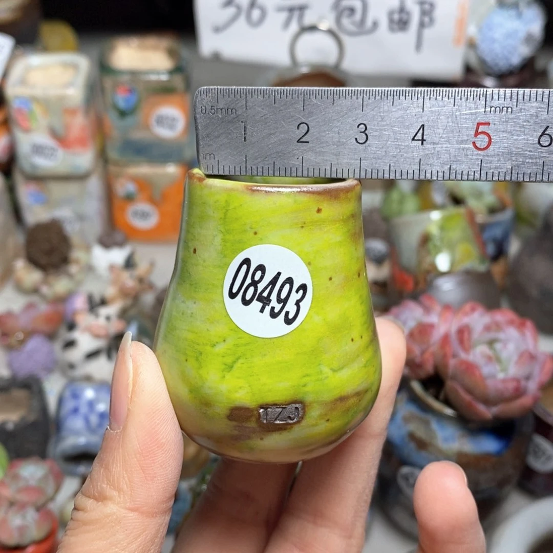 花盆，拍5送一个小礼物