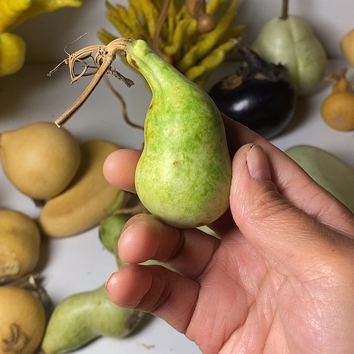 可***丶异性葫芦手把件葫芦