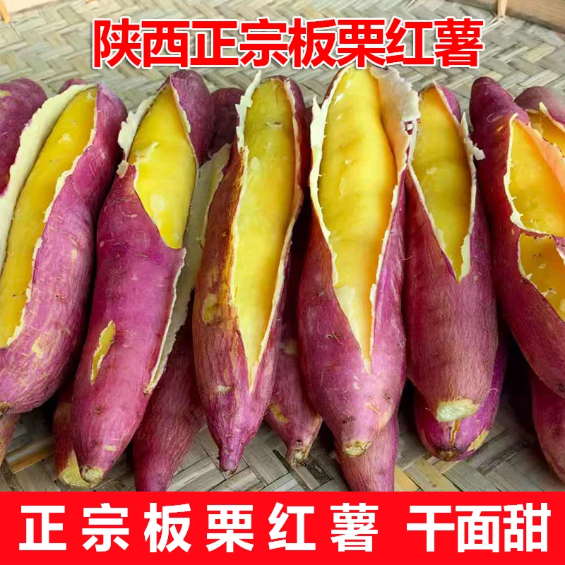 2025现挖陕西临潼正宗板栗红薯9斤番薯新鲜粉面香甜烤地瓜当季