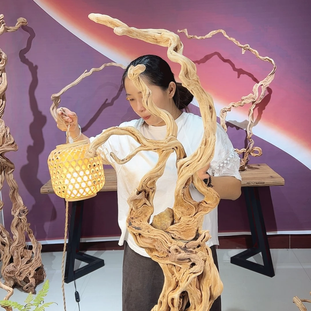 兴***隆木天然杜鹃根根艺摆件