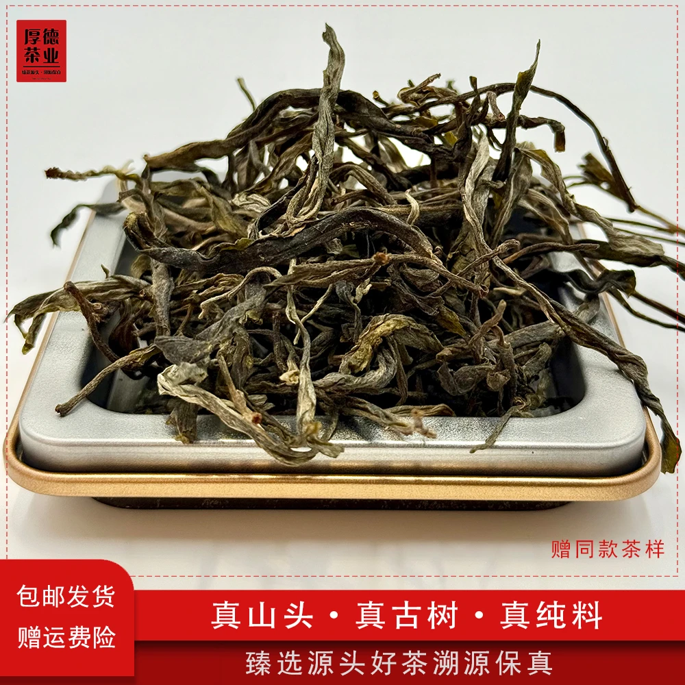 【试喝装】2025年冰岛老寨核心产区古树生茶散茶普洱生散茶8g