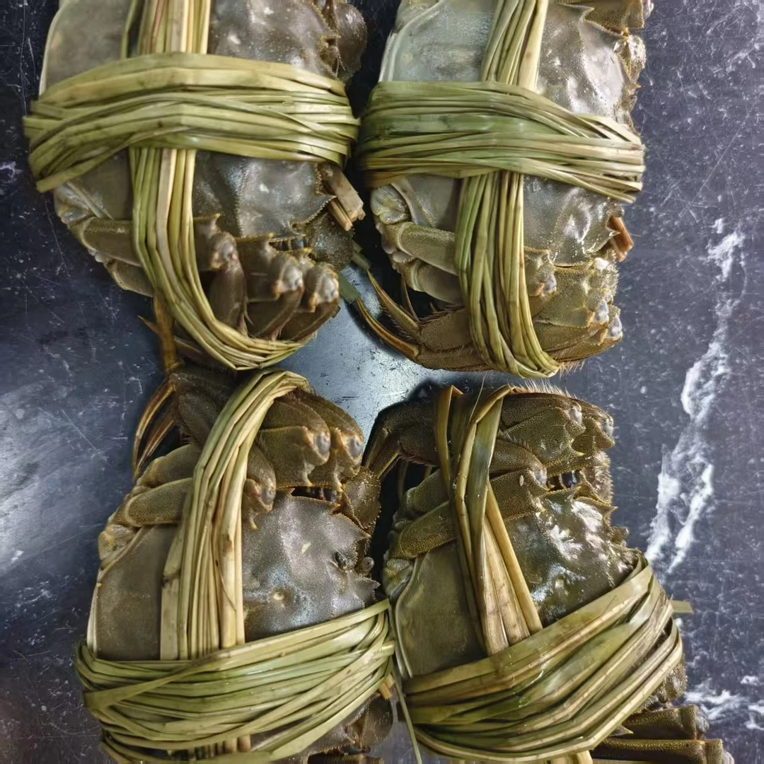 精品捆蟹【老笨海鲜】保鲜不保活！！！【2-3两母/只】