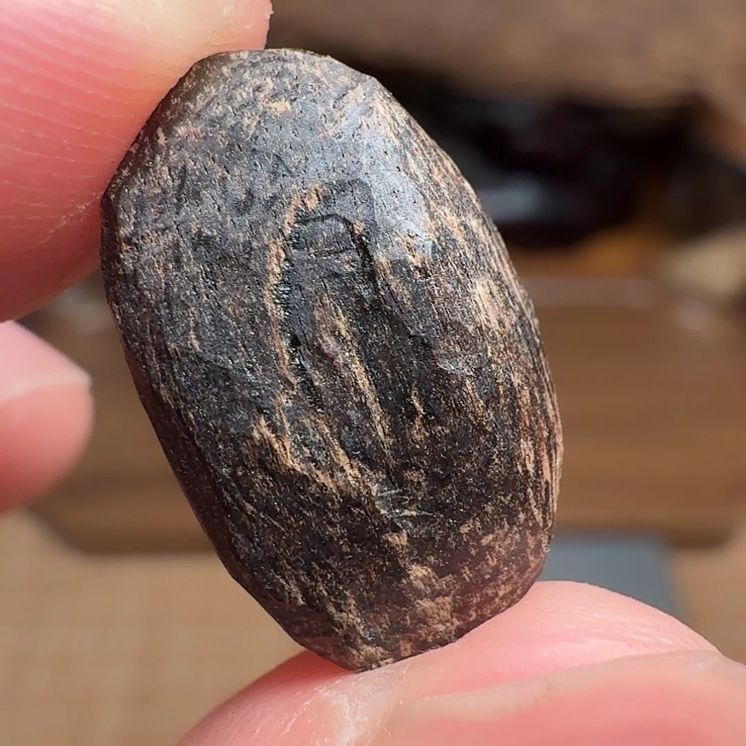 沉香香港大屿山棋韵瓜子