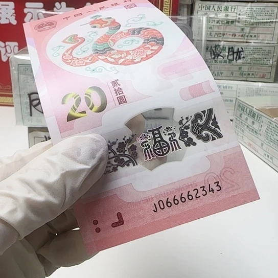 066662343……………………