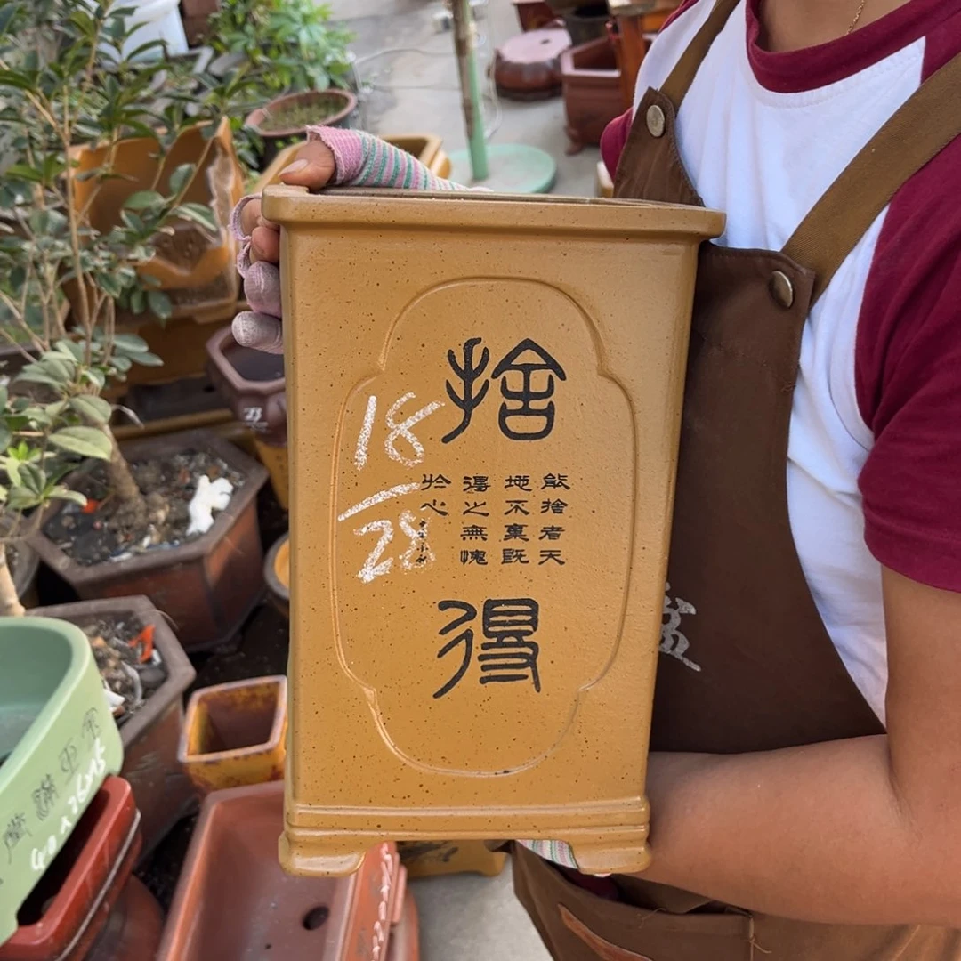 紫砂花盆盆景艺术
