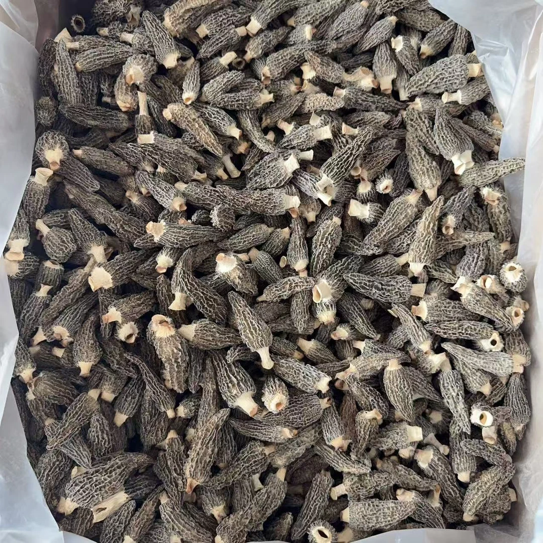 中大个头茬羊肚菌 六妹头茬厚肉