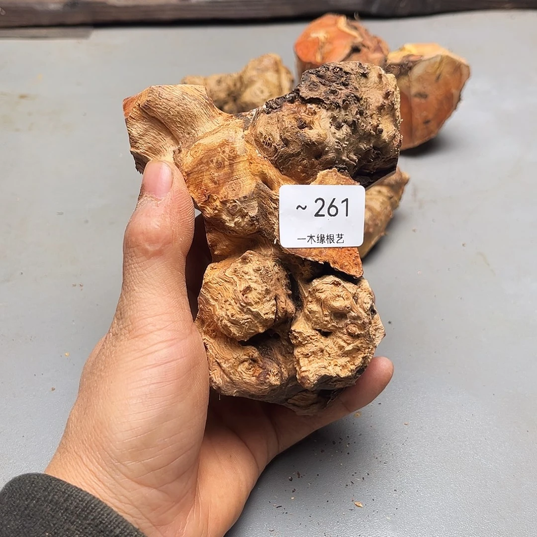 星***怀无花朵0000000000261