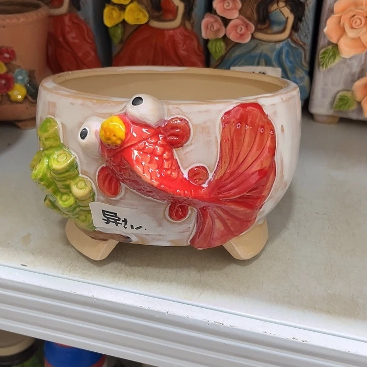 粗陶材质多肉花盆