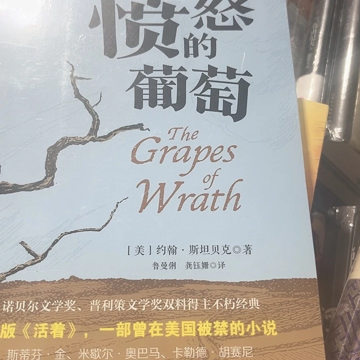 愤怒的葡萄全新正版