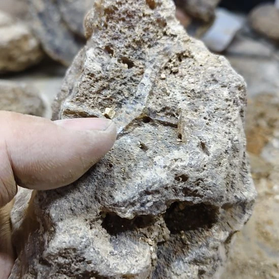 G***Z玛瑙/玉髓未镶嵌原石