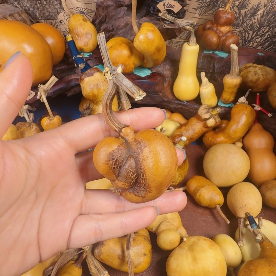 怎***呢哈哈哈哈哈生生世世青浦区