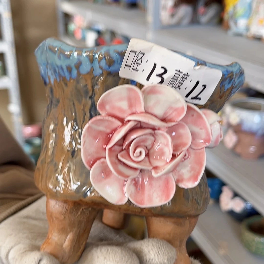 【闪购商品】红陶福利