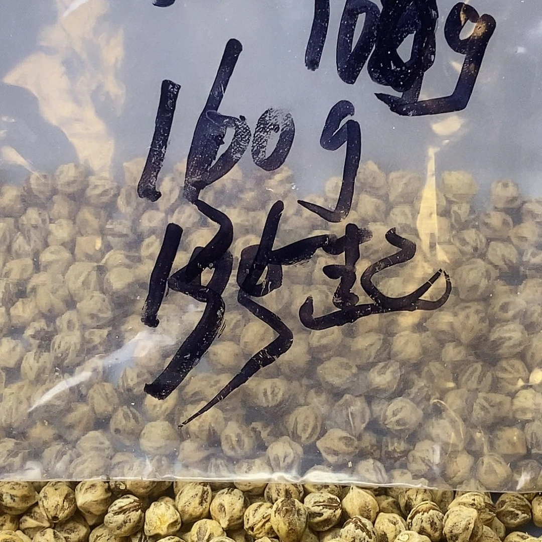柏香籽/百香籽吊坠