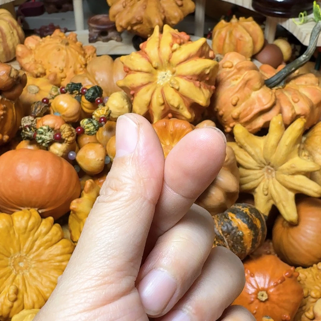 喜***呀特价葫芦不退不换