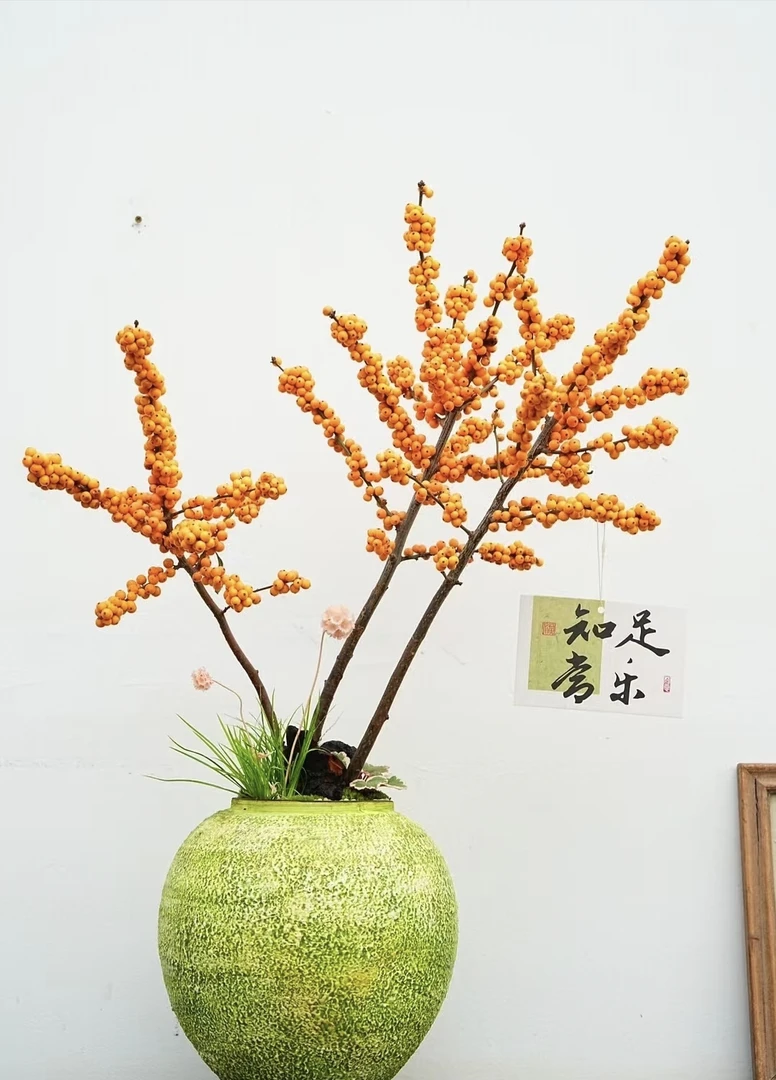 【发财果】云南基地直发