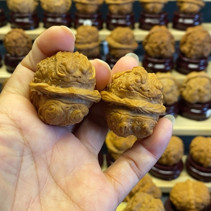 核桃歪头斜眼刀疤满工