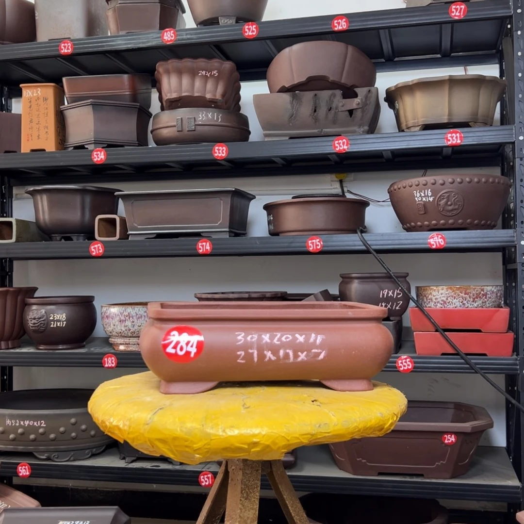 紫砂花盆呜呜呜呜呜