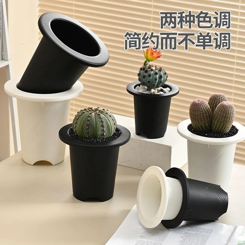 万年青圆口花盆多肉植物十二卷景天兰花绿植花盆清仓捡漏大号