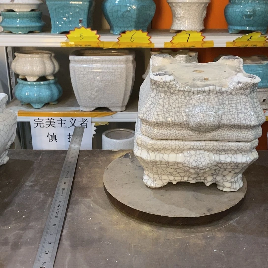 海****6花盆里的小猫咪们