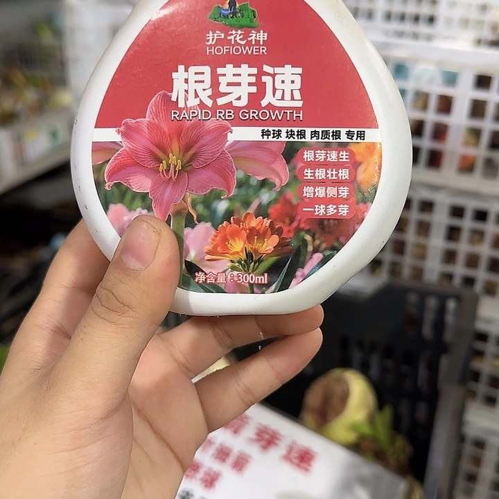 根芽素300ml朱顶红