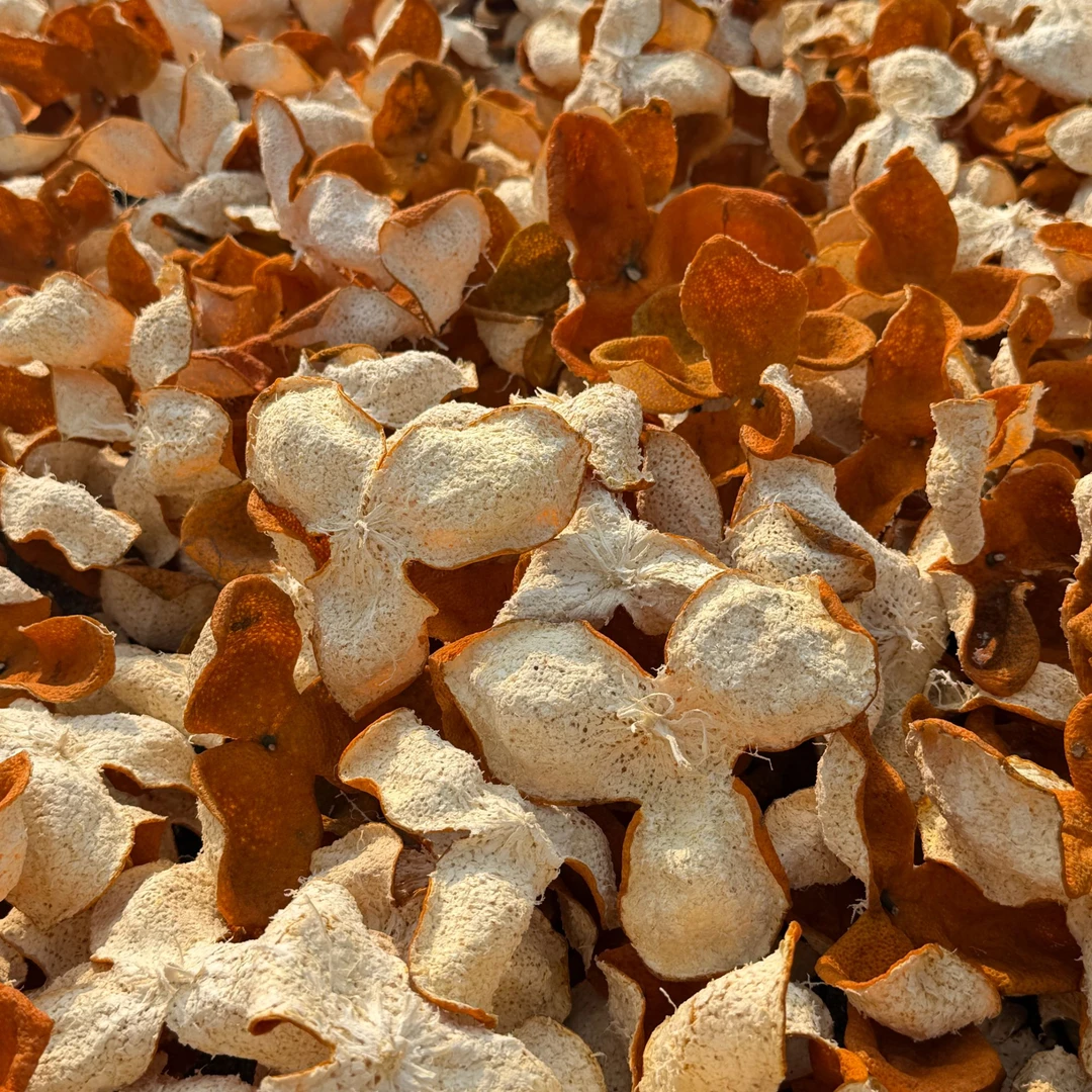 小太阳景云  牛比围冬后 特产干货 500g