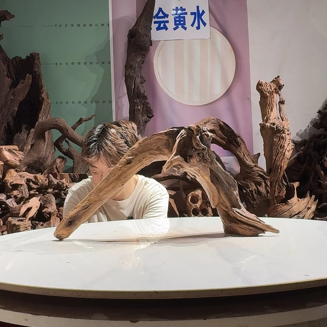 紫砂镂空杰***龟紫柚沉木不包损8960