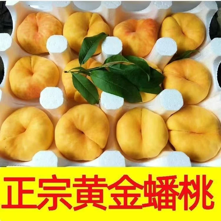 纯甜黄金蟠桃当季时令新鲜桃子黄毛桃水蜜桃扁桃1斤4.5斤整箱批发
